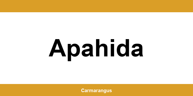 Informații și telefon de contact Cargus din Apahida