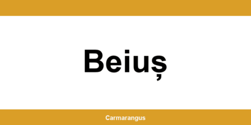 Informații și telefon de contact Cargus din Beiuș