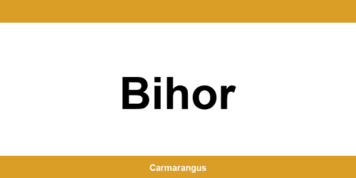 Informații și telefon de contact Cargus din Bihor