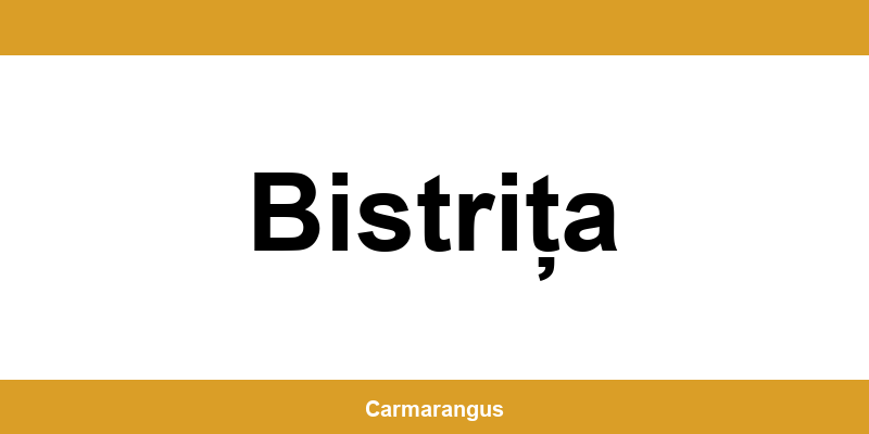 Informații și telefon de contact Cargus din Bistrița