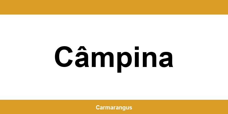 Informații și telefon de contact Cargus din Câmpina