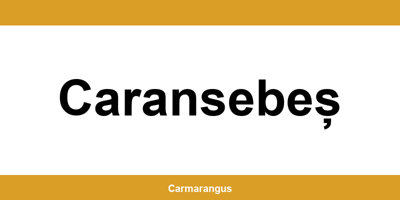 Informații și telefon de contact Cargus din Caransebeș