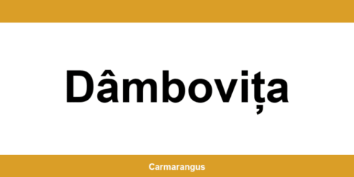 Informații și telefon de contact Cargus din Dâmbovița
