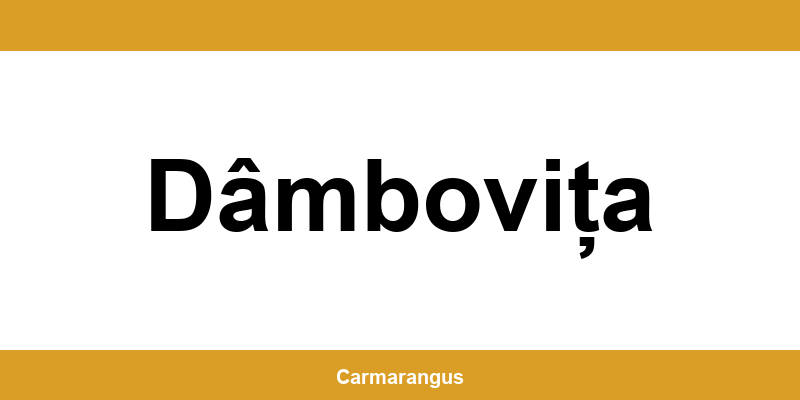 Informații și telefon de contact Cargus din Dâmbovița