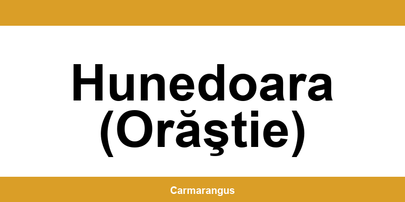 Informații și telefon de contact Cargus din Hunedoara (Orăştie)