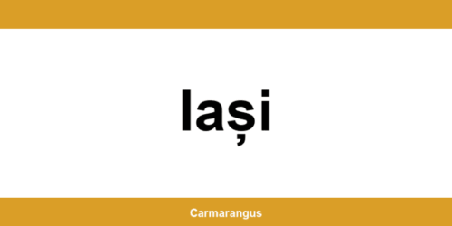 Informații și telefon de contact Cargus din Iași