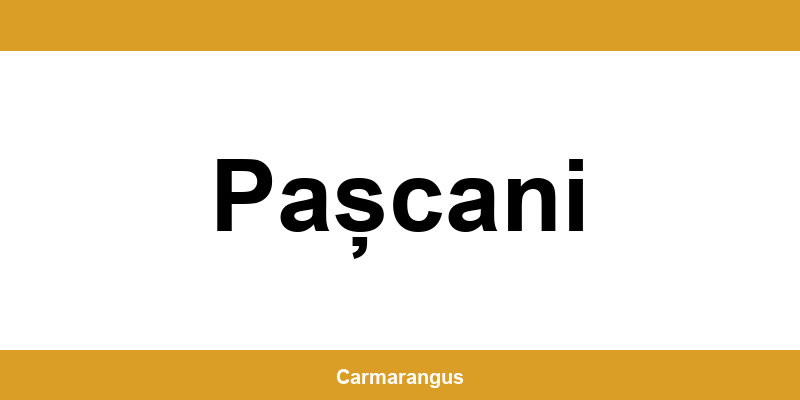 Informații și telefon de contact Cargus din Pașcani