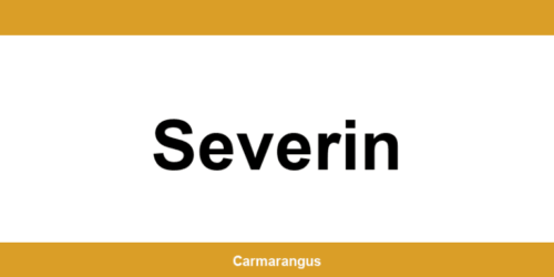 Informații și telefon de contact Cargus din Severin