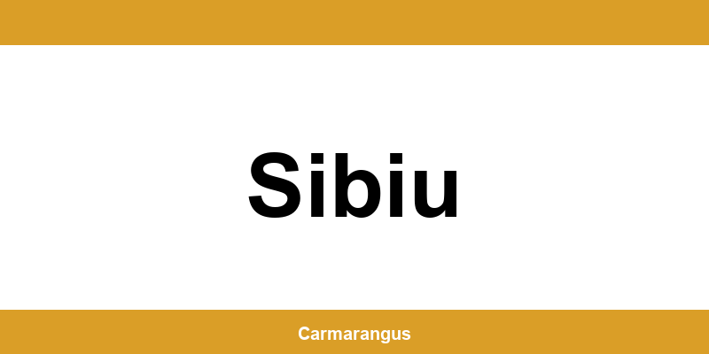 Informații și telefon de contact Cargus din Sibiu