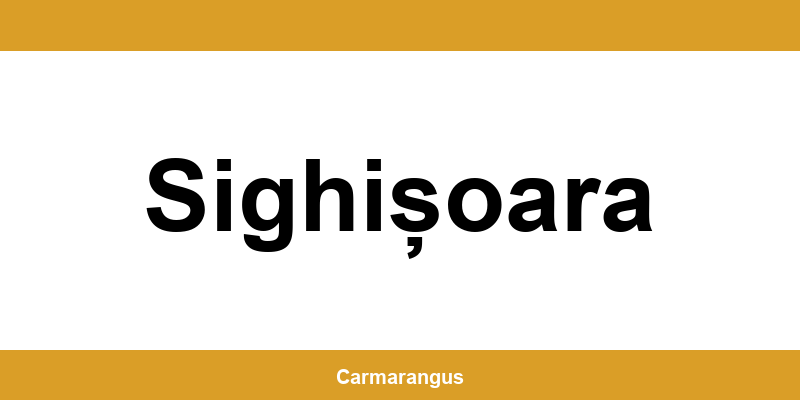 Informații și telefon de contact Cargus din Sighișoara