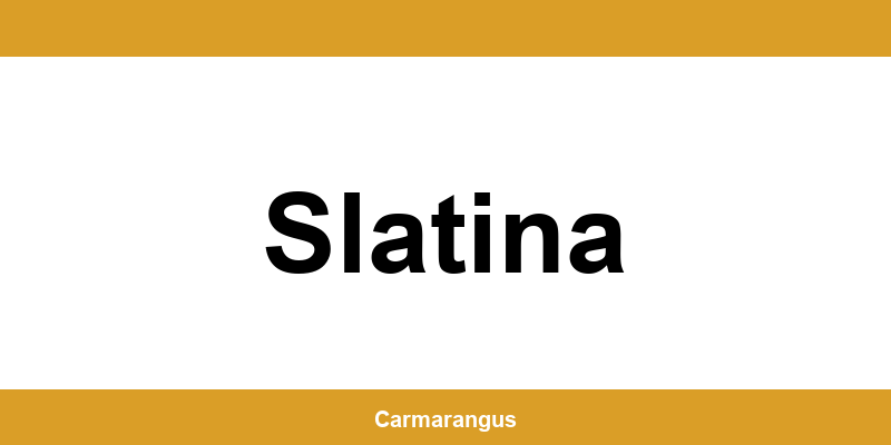 Informații și telefon de contact Cargus din Slatina