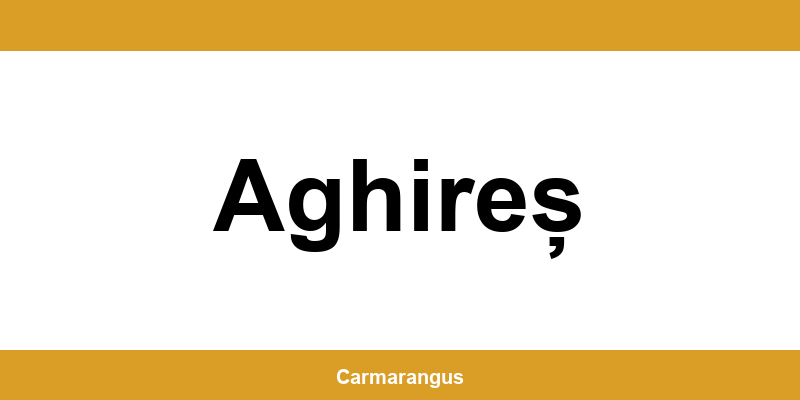 Informații și telefon de contact Cargus din Aghireș