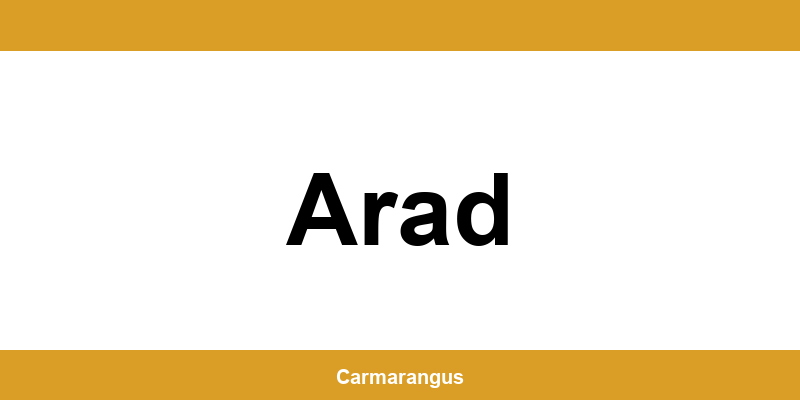 Informații și telefon de contact Cargus din Arad