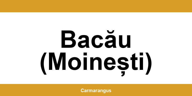 Informații și telefon de contact Cargus din Bacău (Moinești)