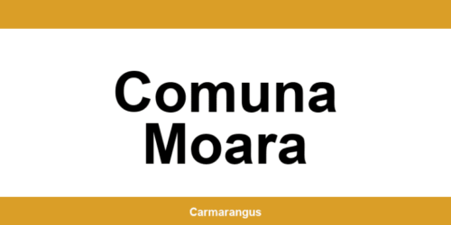 Informații și telefon de contact Cargus din Comuna Moara