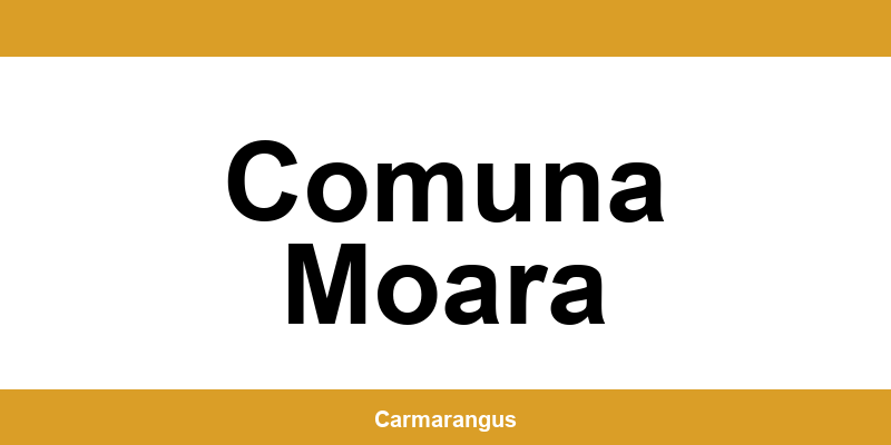 Informații și telefon de contact Cargus din Comuna Moara