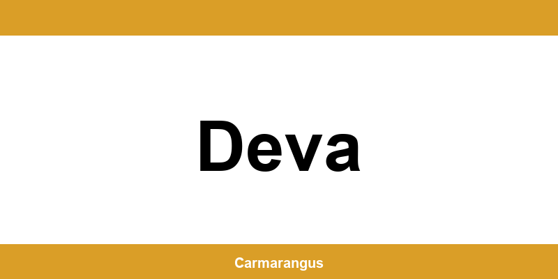 Informații și telefon de contact Cargus din Deva