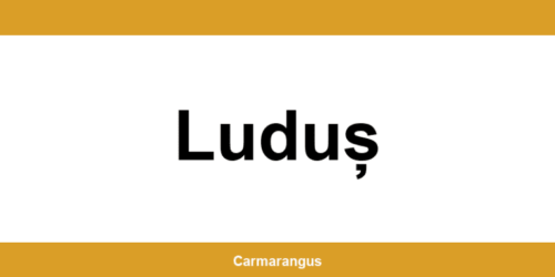Informații și telefon de contact Cargus din Luduș