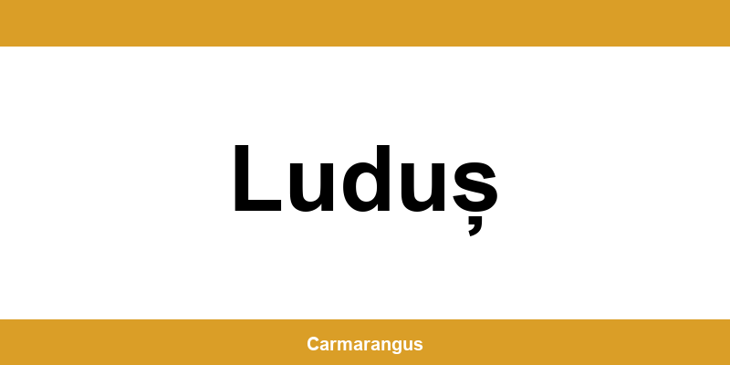 Informații și telefon de contact Cargus din Luduș