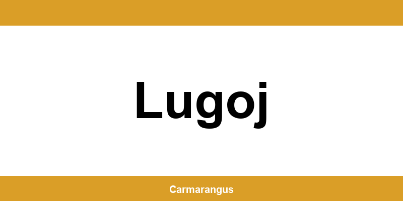 Informații și telefon de contact Cargus din Lugoj