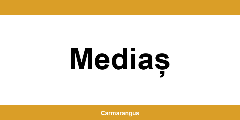 Informații și telefon de contact Cargus din Mediaș