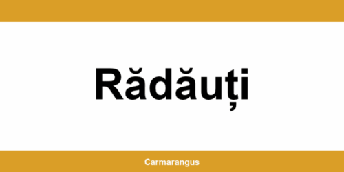 Informații și telefon de contact Cargus din Rădăuți