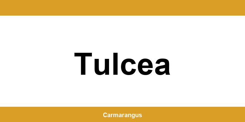 Informații și telefon de contact Cargus din Tulcea